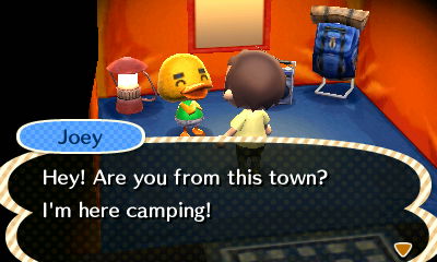 Joey: Hey! Are you from this town? I'm here camping!