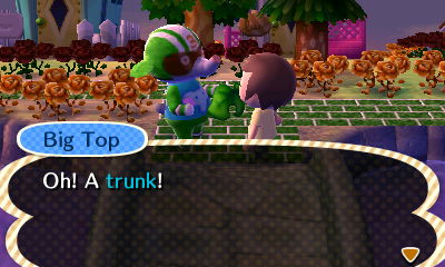 Big Top: Oh! A trunk!