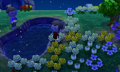 Squishy throws beans into the pond.