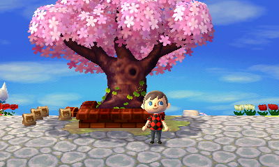 The town tree is now pink!