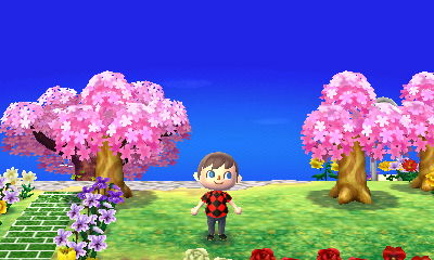 A bunch of pink trees together.