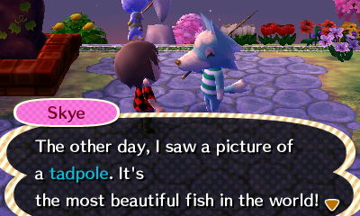 Skye: The other day, I saw a picture of a tadpole. It's the most beautiful fish in the world!