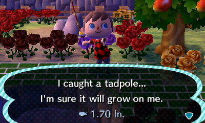 I caught a tadpole... I'm sure it will grow on me.