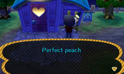 Re-Tail premium item: Perfect peach.