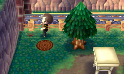 The location of Julian's buried time capsule.