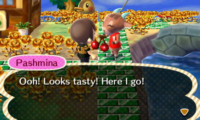 Pashmina: Ooh! Looks tasty! Here I go!