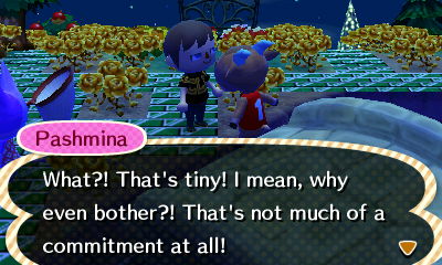 Pashmina: What?! That's tiny! I mean, why even bother?! That's not much of a commitment at all!