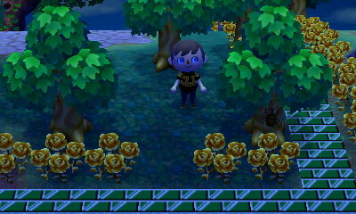 A missing gold rose.