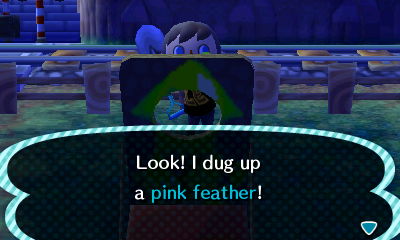 Look! I dug up a pink feather!