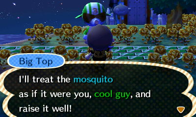 Big Top: I'll treat the mosquito as if it were you, cool guy, and raise it well!