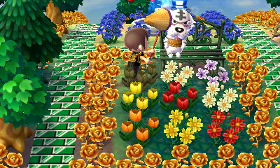 Waking up Rolf with a net.