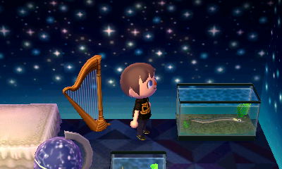 My eel on display in Julian's house.