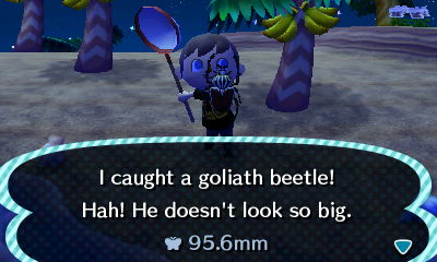 I caught a goliath beetle! Hah! He doesn't look so big!