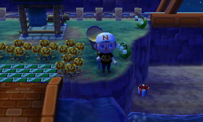 A present that I knocked onto my private beach.