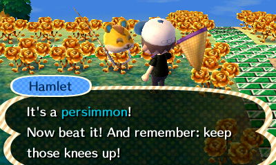 Hamlet: It's a persimmon! Now beat it! And remember: keep those knees up!