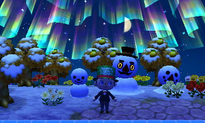 Northern lights and my snow family.