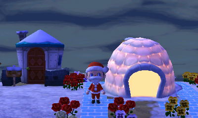 Velma's beautiful igloo illuminated at night.
