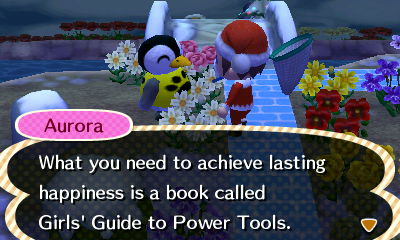 Aurora: What you need to achieve lasting happiness is a book called Girls' Guide to Power Tools.