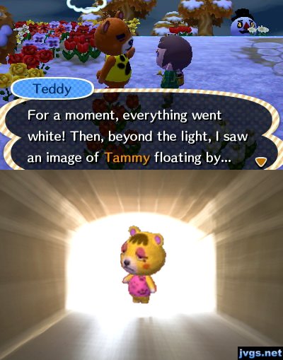 Teddy: For a moment, everything went white! Then, beyond the light, I saw an image of Tammy floating by...