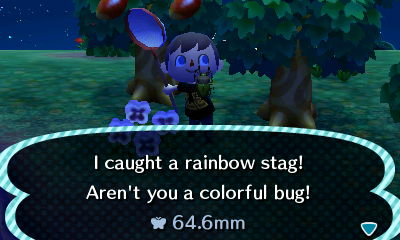 I caught a rainbow stag! Aren't you a colorful bug!