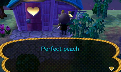 Re-Tail premium item: Perfect peach.