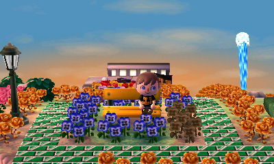 My new geyser as seen from my yellow bench.