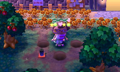 The gold rose behind the stump missing.