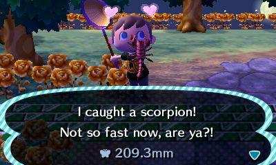 I caught a scorpion! Not so fast now, are ya?!