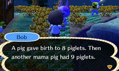 Bob: A pig gave birth to 8 piglets. Then another mama pig had 9 piglets.
