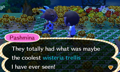 Pashmina: They totally had what was maybe the coolest wisteria trellis I have ever seen!