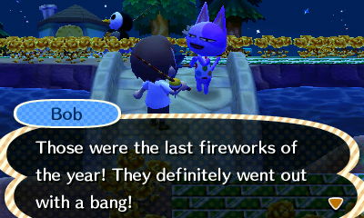Bob: Those were the last fireworks of the year! They definitely went out with a bang!