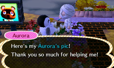 Aurora: Here's my Aurora's pic! Thank you so much for helping me!