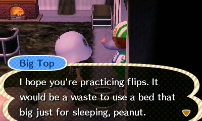 Big Top: I hope you're practicing flips. It would be a waste to use a bed that big just for sleeping, peanut.