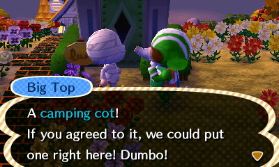 Big Top: A camping cot! If you agreed to it, we could get one right here! Dumbo!
