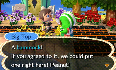 Big Top: A hammock! If you agreed to it, we could put one right here! Peanut!