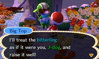 Big Top: I'll treat the bitterling as if it were you, J-dog, and raise it well!