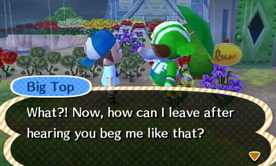 Big Top: What?! Now, how can I leave after hearing you beg me like that?