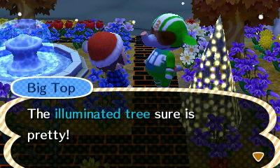 Big Top: The illuminated tree sure is pretty!
