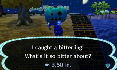 I caught a bitterling! What's it so bitter about?