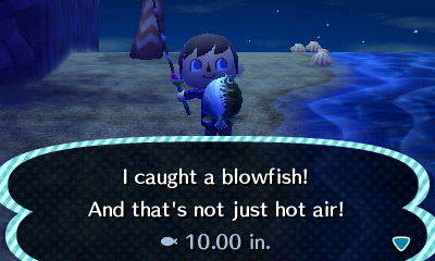 I caught a blowfish! And that's not just hot air!