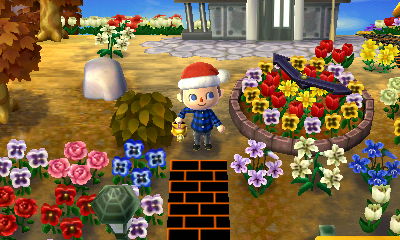 A blue pansy that popped up in my park.