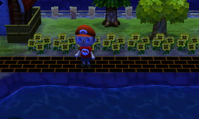 My new black/orange brick path.