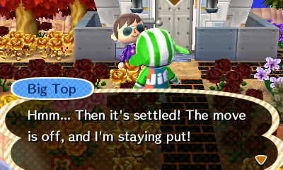 Big Top: Hmmm... Then it's settled! The move is off, and I'm staying put!