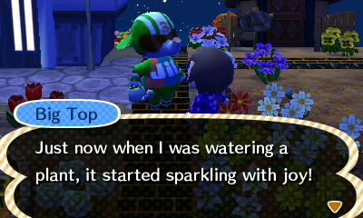 Big Top: Just now when I was watering a plant, it started sparkling with joy!