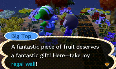 Big Top: A fantastic piece of fruit deserves a fantastic gift! Here--take my regal wall!