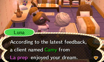 Luna: According to the latest feedback, a client named Camy from La Prep enjoyed your dream.