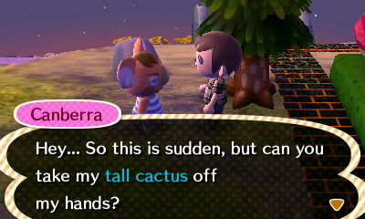 Canberra: Hey... So this is sudden, but can you take my tall cactus off my hands?