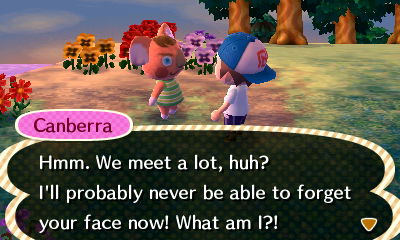 Canberra: Hmm. We meet a lot, huh? I'll probably never be able to forget your face now! What am I?!