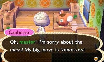 Canberra: Oh, master! I'm sorry about the news! My big move is tomorrow!