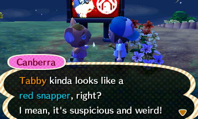 Canberra: Tabby kinda looks like a red snapper, right? I mean, it's suspicious and weird!